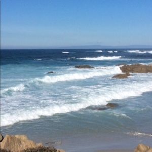 Meet your Posher, Ellie